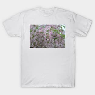 Pink Crab Apple T-Shirt